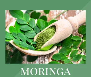 How to Store Moringa Powder for Maximum Freshness